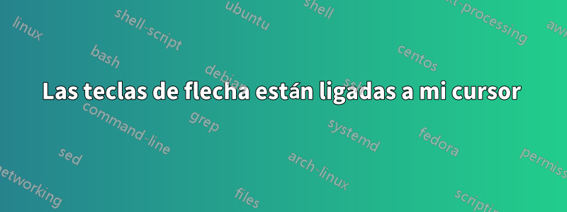 Las teclas de flecha están ligadas a mi cursor