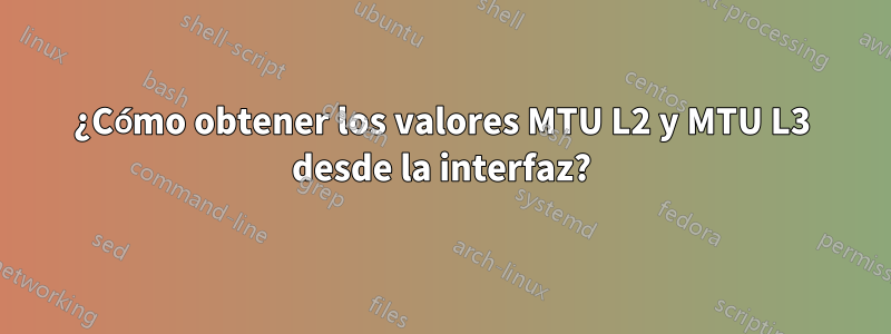 ¿Cómo obtener los valores MTU L2 y MTU L3 desde la interfaz?