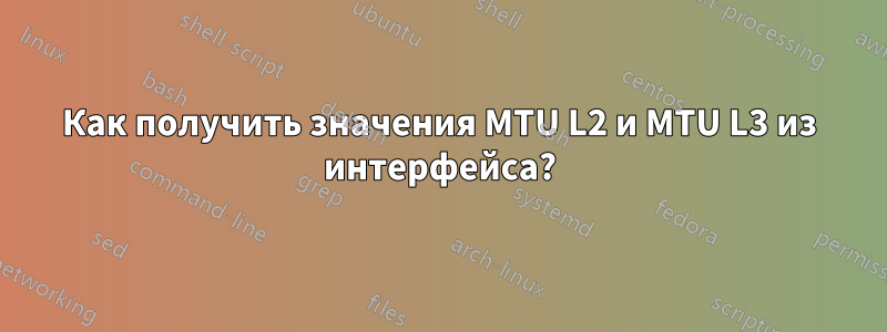 Как получить значения MTU L2 и MTU L3 из интерфейса?