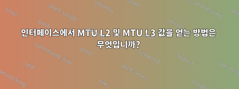 인터페이스에서 MTU L2 및 MTU L3 값을 얻는 방법은 무엇입니까?