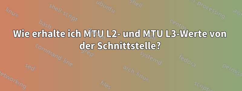 Wie erhalte ich MTU L2- und MTU L3-Werte von der Schnittstelle?