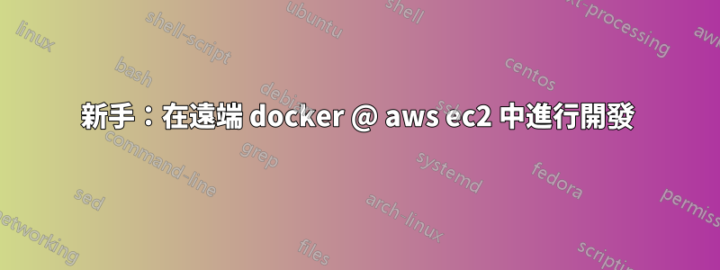 新手：在遠端 docker @ aws ec2 中進行開發