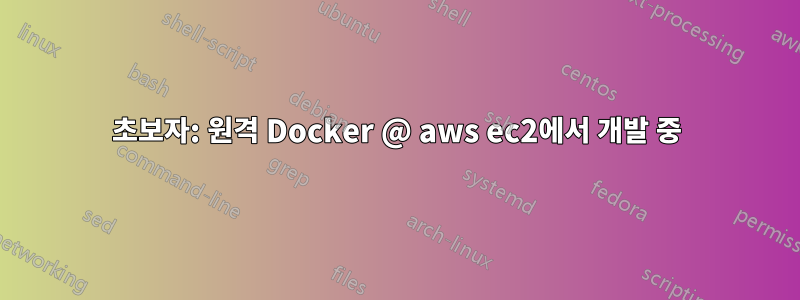 초보자: 원격 Docker @ aws ec2에서 개발 중