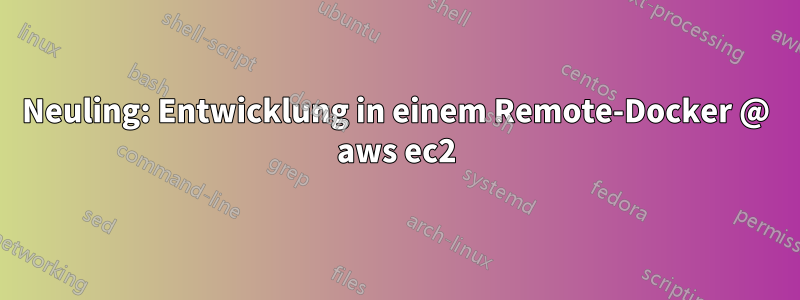 Neuling: Entwicklung in einem Remote-Docker @ aws ec2