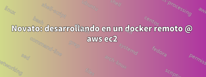 Novato: desarrollando en un docker remoto @ aws ec2