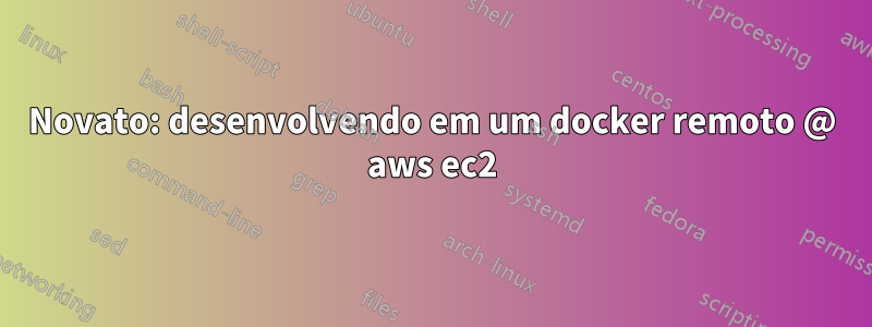 Novato: desenvolvendo em um docker remoto @ aws ec2