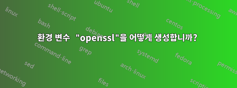 환경 변수 "openssl"을 어떻게 생성합니까?