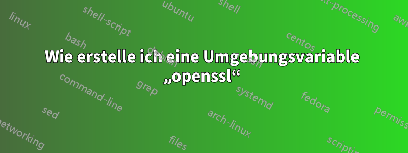 Wie erstelle ich eine Umgebungsvariable „openssl“