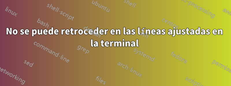 No se puede retroceder en las líneas ajustadas en la terminal