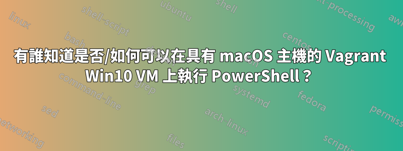 有誰知道是否/如何可以在具有 macOS 主機的 Vagrant Win10 VM 上執行 PowerShell？