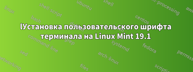 lУстановка пользовательского шрифта терминала на Linux Mint 19.1