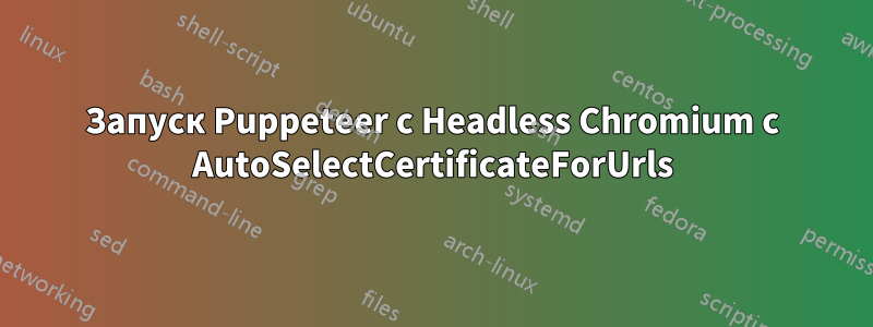 Запуск Puppeteer с Headless Chromium с AutoSelectCertificateForUrls