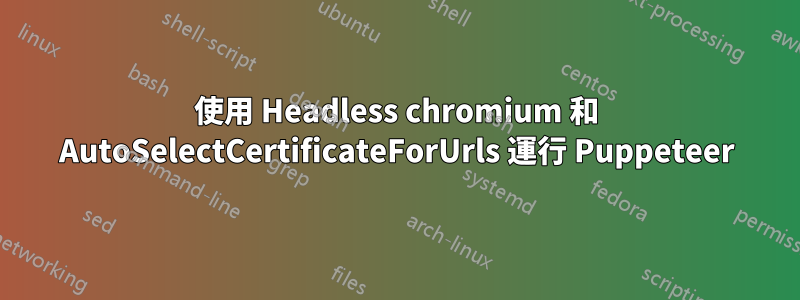 使用 Headless chromium 和 AutoSelectCertificateForUrls 運行 Puppeteer