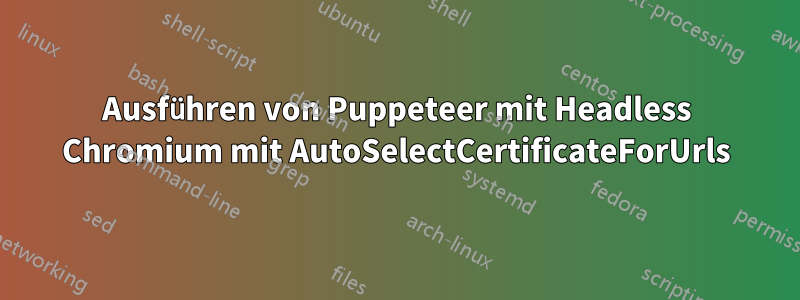 Ausführen von Puppeteer mit Headless Chromium mit AutoSelectCertificateForUrls