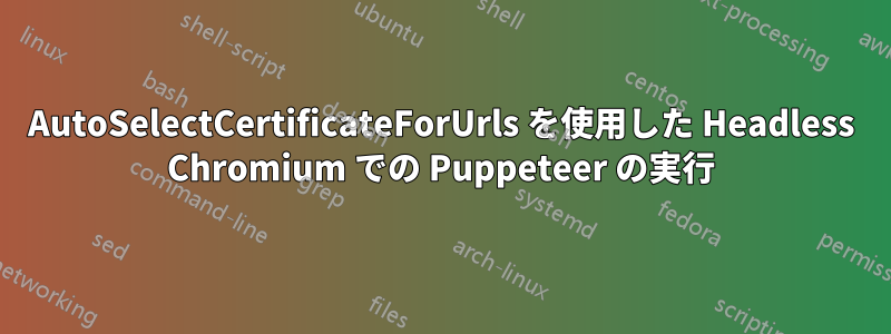 AutoSelectCertificateForUrls を使用した Headless Chromium での Puppeteer の実行