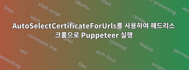 AutoSelectCertificateForUrls를 사용하여 헤드리스 크롬으로 Puppeteer 실행