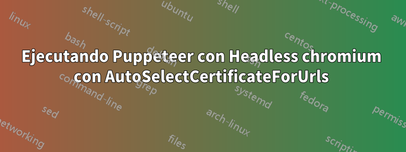 Ejecutando Puppeteer con Headless chromium con AutoSelectCertificateForUrls