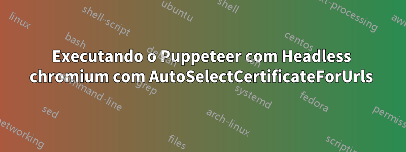 Executando o Puppeteer com Headless chromium com AutoSelectCertificateForUrls