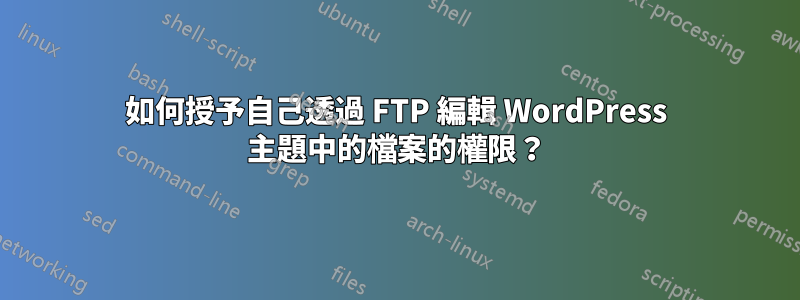 如何授予自己透過 FTP 編輯 WordPress 主題中的檔案的權限？