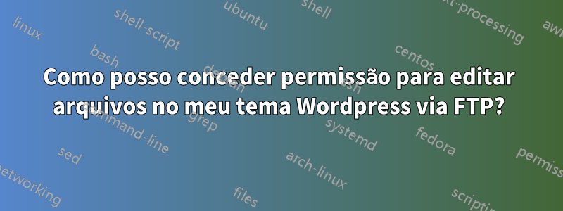 Como posso conceder permissão para editar arquivos no meu tema Wordpress via FTP?