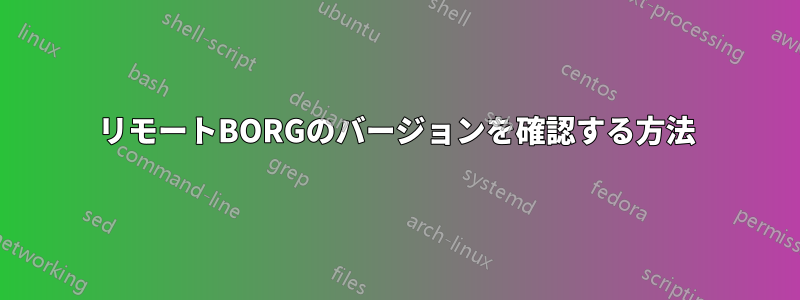 リモートBORGのバージョンを確認する方法