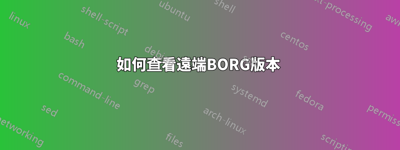 如何查看遠端BORG版本