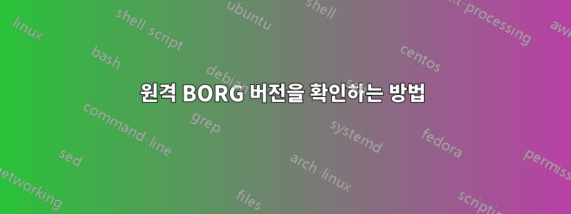 원격 BORG 버전을 확인하는 방법