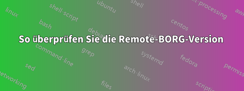 So überprüfen Sie die Remote-BORG-Version