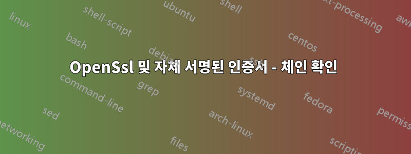 OpenSsl 및 자체 서명된 인증서 - 체인 확인