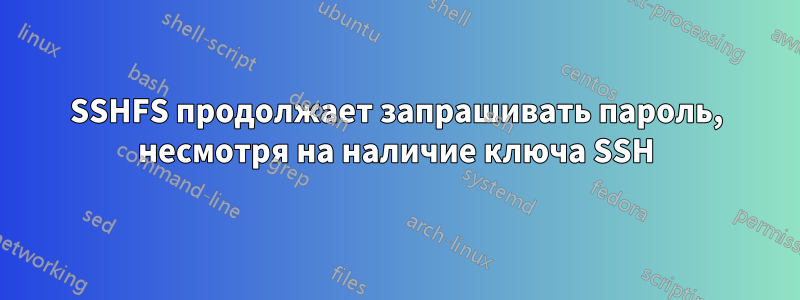 SSHFS продолжает запрашивать пароль, несмотря на наличие ключа SSH