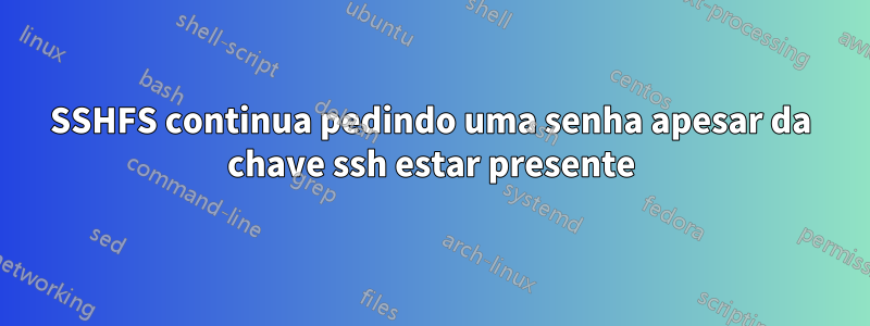 SSHFS continua pedindo uma senha apesar da chave ssh estar presente