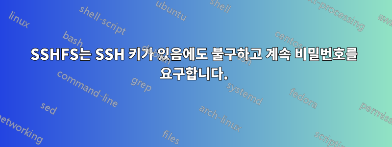 SSHFS는 SSH 키가 있음에도 불구하고 계속 비밀번호를 요구합니다.