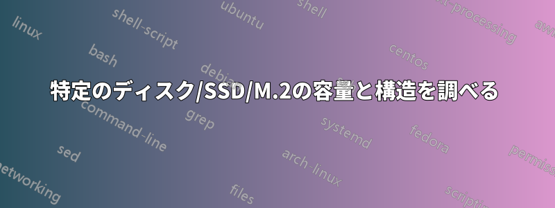 特定のディスク/SSD/M.2の容量と構造を調べる