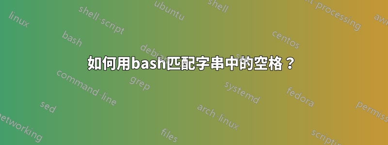 如何用bash匹配字串中的空格？