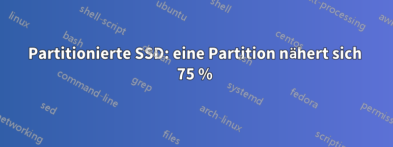 Partitionierte SSD: eine Partition nähert sich 75 %