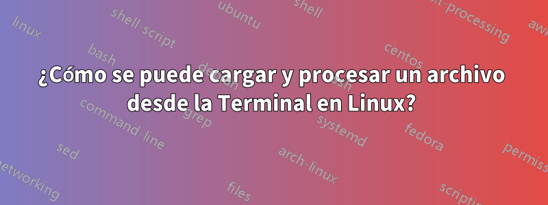 ¿Cómo se puede cargar y procesar un archivo desde la Terminal en Linux?