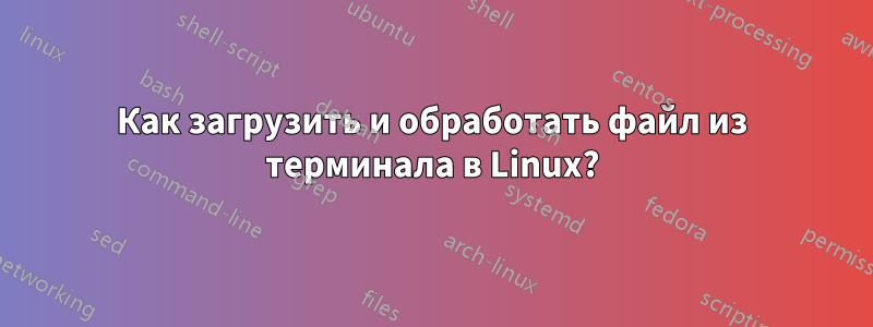 Как загрузить и обработать файл из терминала в Linux?