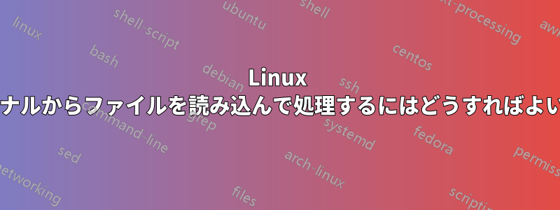 Linux のターミナルからファイルを読み込んで処理するにはどうすればよいですか?