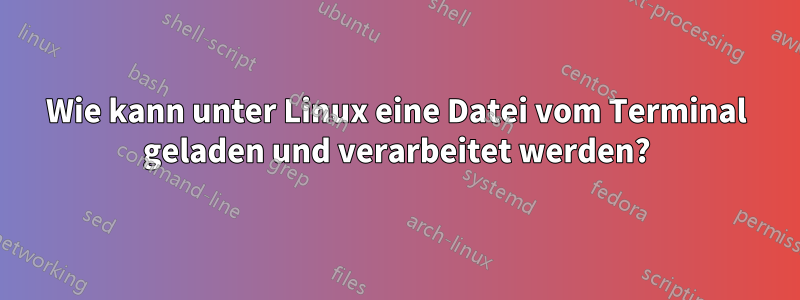 Wie kann unter Linux eine Datei vom Terminal geladen und verarbeitet werden?