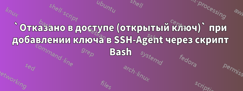 `Отказано в доступе (открытый ключ)` при добавлении ключа в SSH-Agent через скрипт Bash