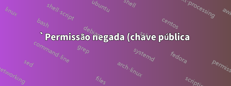 `Permissão negada (chave pública)` quando a chave é adicionada ao agente SSH via script Bash
