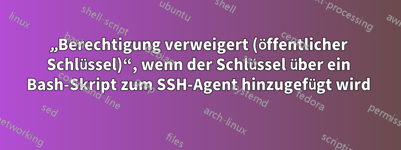 „Berechtigung verweigert (öffentlicher Schlüssel)“, wenn der Schlüssel über ein Bash-Skript zum SSH-Agent hinzugefügt wird