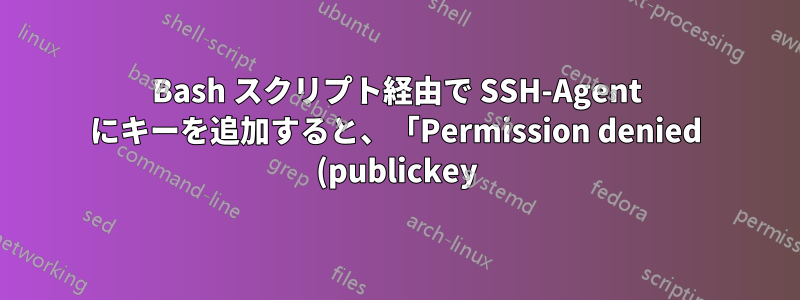 Bash スクリプト経由で SSH-Agent にキーを追加すると、「Permission denied (publickey)」というエラーが発生する