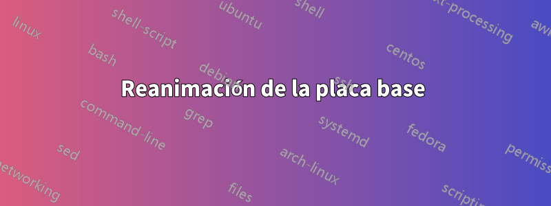 Reanimación de la placa base