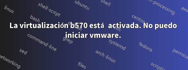 La virtualización b570 está activada. No puedo iniciar vmware.