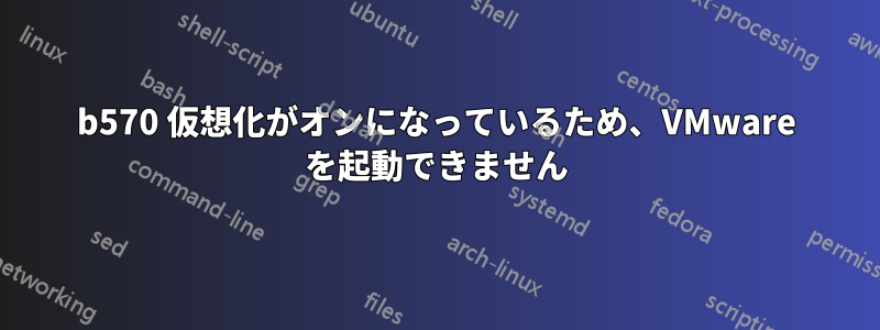 b570 仮想化がオンになっているため、VMware を起動できません