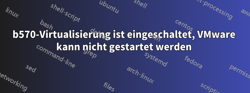 b570-Virtualisierung ist eingeschaltet, VMware kann nicht gestartet werden