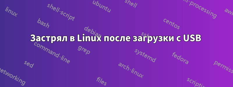 Застрял в Linux после загрузки с USB