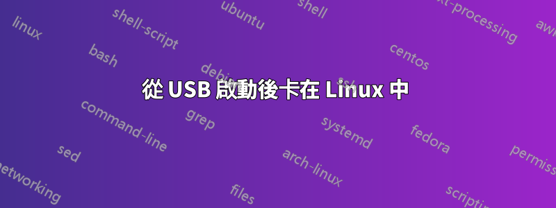 從 USB 啟動後卡在 Linux 中