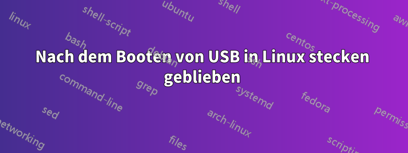 Nach dem Booten von USB in Linux stecken geblieben